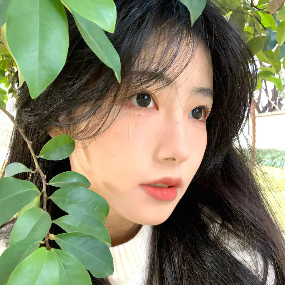 贝蒂娜